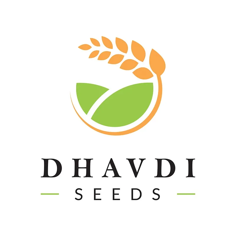 Dhavdi Seeds